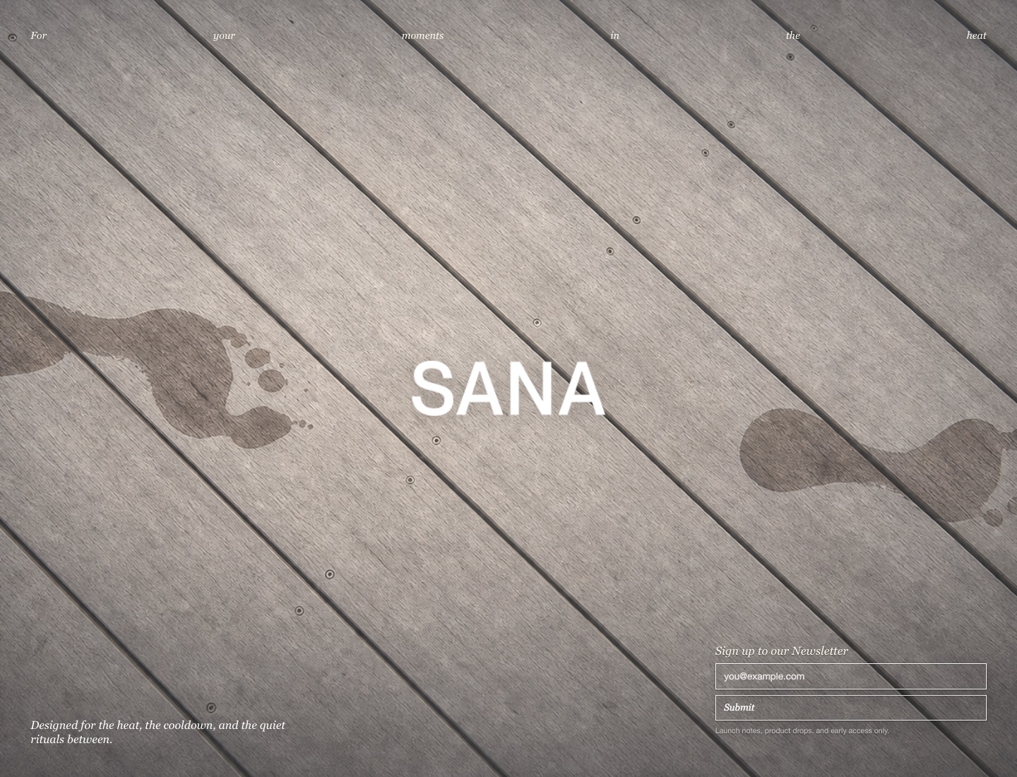 Screenshot of the Sana Sauna website